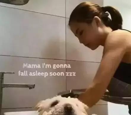 崽崽曝光后，爹地马甲掉了,爹地马甲不保，身份揭秘引热议