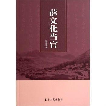薛文化当官记,从平民到官员的逆袭之路